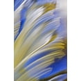 thumbnail image 2 of Grandmaison, Mike 17x24 Black Ornate Wood Framed with Double Matting Museum Art Print Titled - Canada, Manitoba Whiteshell River, Rainbow Falls, 2 of 4