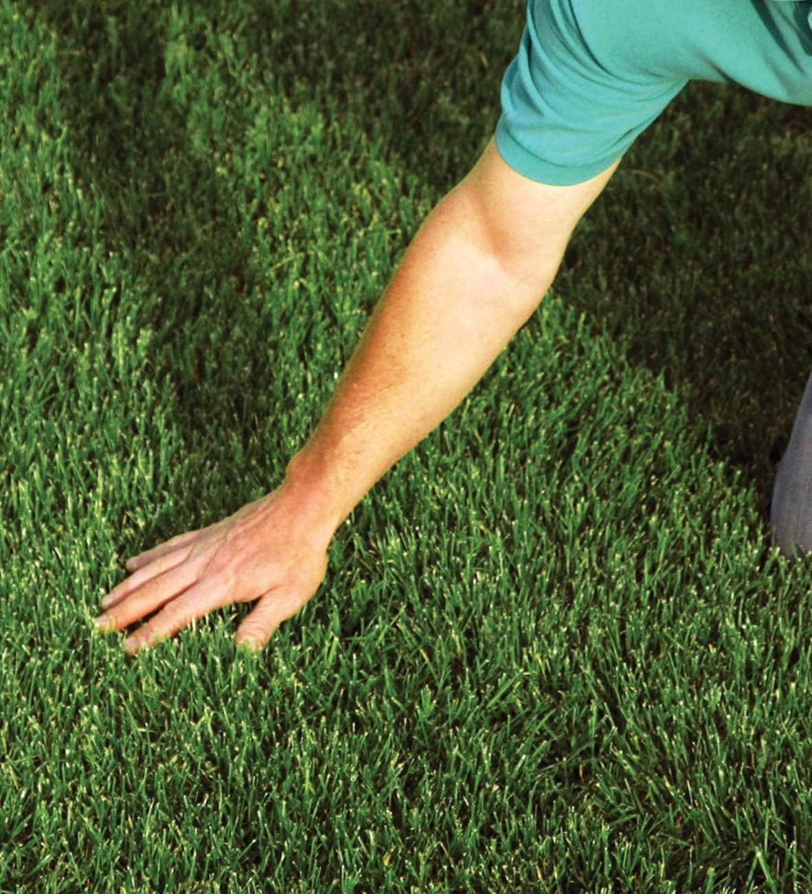 EZ-Straw Seeding Mulch with Tack - Biodegradable Processed Straw ? 2.5 CU FT Bale (Covers up to 500 sq. ft.) (2 Pack)