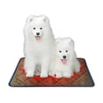 thumbnail image 4 of FAMTKT Winter Warm Self-Heating Storage Heating Pad for Cats and Dogs, 4 of 5