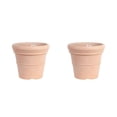 thumbnail image 1 of Maceta Suculenta De Terracota De Plástico Toystoory 29.9*19*26.7 cm 600g 2Conjunto, 1 of 6