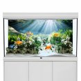 Aquarium Background, Morning Light Water Grass Creek Stone Fish Tank ...