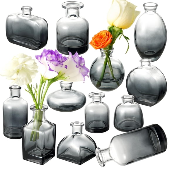 Set de jarrones Bud DOLEEYAE de vidrio transparente negro (12 unidades)