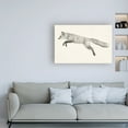thumbnail image 3 of Trademark Fine Art 'Flying Fox II' Canvas Art by Victoria Borges, 3 of 3