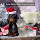 thumbnail image 5 of Molde para cubitos de hielo Yamteck 3D con forma de perro salchicha, paquete de 2, 5 of 6