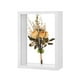 thumbnail image 1 of Marco de Flores Secas Uxcell, Marco de Sombra de Madera de 5 x 7 Pulgadas, Marco de Imagen de Acrílico Doble [Blanco], 1 of 1