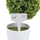 thumbnail image 5 of KAKOWELY 100 etiquetas de plástico tipo T para plantas, 10 x 6 cm, para viveros y jardines (blancas), 5 of 5