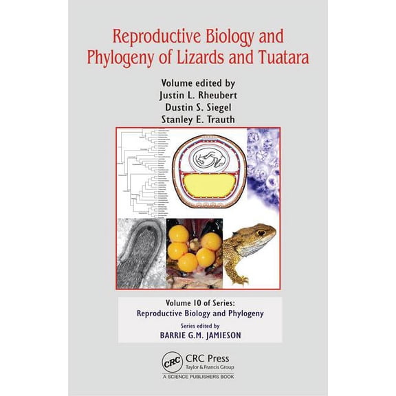 Reproductive Biology and Phylogeny Reproductive Biology and Phylogeny of Lizards and Tuatara, (Hardcover)