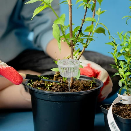 MUSEYA 10pcs Orchid Fertilizer Spikes Transparent Plastic Gardening Planting Tool