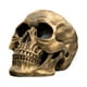 thumbnail image 2 of Uuiauoio Resin Skull, Human Head Model for Home Decoration, Halloween Statue, Skull Model for Bookshelf and Desktop, Skeleton Head Halloween Skull Artwork Decoration, 2 of 6