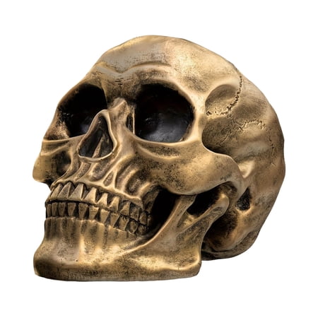 Halloween Statue Resin Skull Human Head Model for Home Decoration Human Skull Replica Model Skull Head Decoration Prop for Bar Party Home Halloween Decor Bookshelf and Desktop