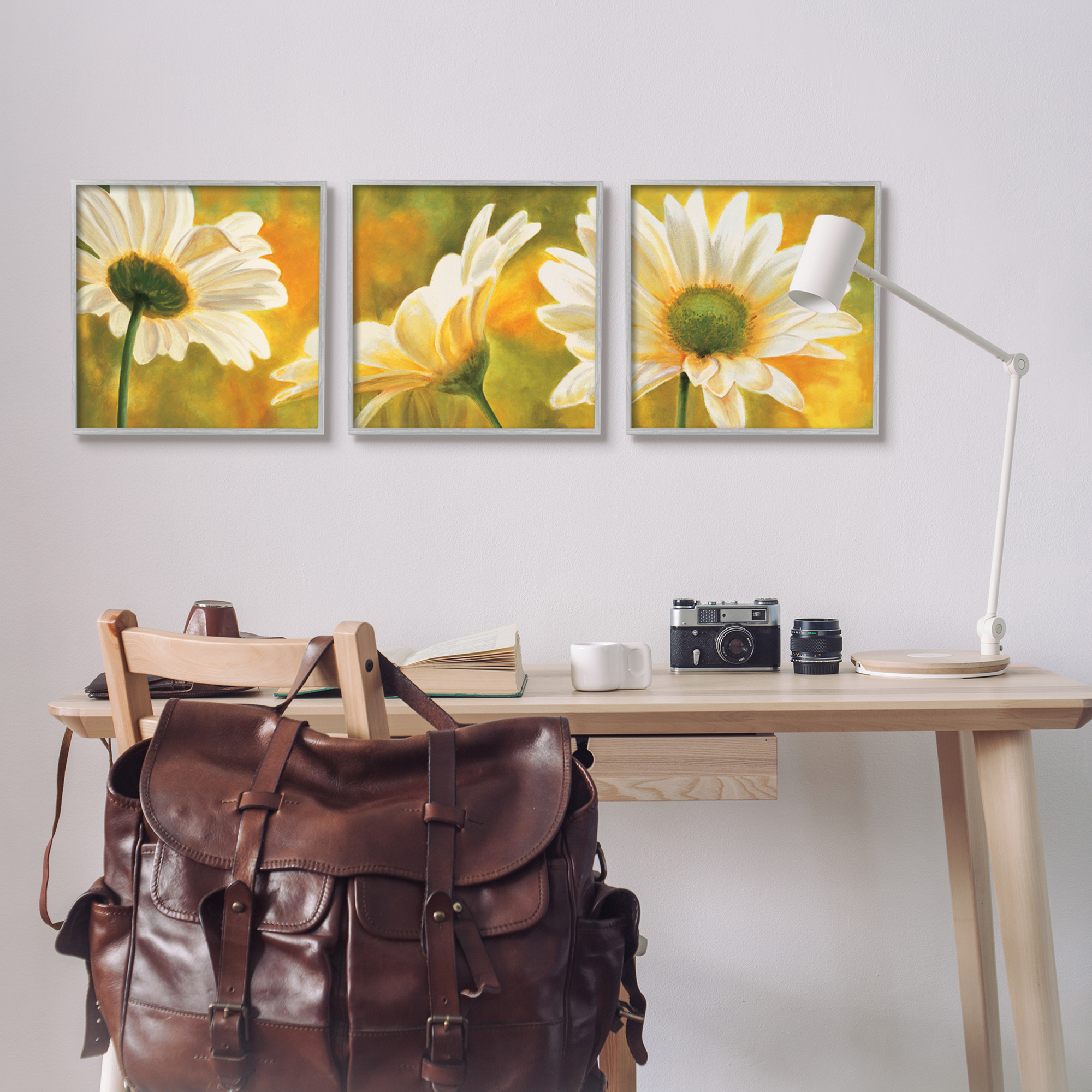 Stupell Blooming Wild Daisies Field Botanical & Floral Painting Gray Framed Art Print Wall Art, Set of 3