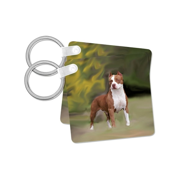 3dRose, American Pit Bull Terrier, set of 2 Key Chains