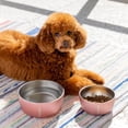 thumbnail image 5 of Cuenco para perros Corkcicle Ceramic Sierra 470 ml, antideslizante, inoxidable, 5 of 5