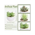 thumbnail image 4 of A Set Of 3 Miniature Artificial Succulent Plants, Green Plants In Black Pots, Made Of Pe, Faux Plant, Ideal For Desk Decoration, Home And Garden Decor, 4 of 4