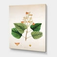 thumbnail image 3 of Designart ' Ancient London Plants XII ' Farmhouse Canvas Wall Art Print, 3 of 4