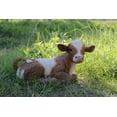 thumbnail image 5 of Garden Decor Animal Statue Brown & White Cow Laying Down, 5 of 5