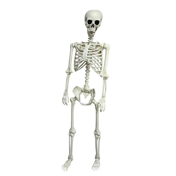 Nmdmisc Halloween Life Size Skeleton, 65" Skeleton Decor Realistic Full Body Bones Poseable Halloween Skeleton Prop with Movable Joints for Indoor Outdoor Party Haunted House Lawn Décor