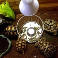 thumbnail image 3 of QualitChoice Tortue Aliment Plat Bol Outil de Distribution d'Eau Accessoires Ménagers Bassin d'Alimentation Taille Compacte Fabrication, 3 of 6