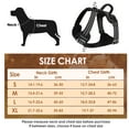 thumbnail image 2 of AUTOWT No Pull Dog Harness - Heavy Duty, No Choke Design with 2 Leash Clips & Adjustable Padded Vest, 2 of 8
