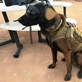 thumbnail image 3 of Coussinets pour Chien Protection Auditive Coussinets Portables Protection contre le Bruit avec Rembourrage en Mousse Écouteurs Légers pour Chien avec Sangle Réglable pour Tout Chien pour Camping Extérieur Voyage Marron, 3 of 3