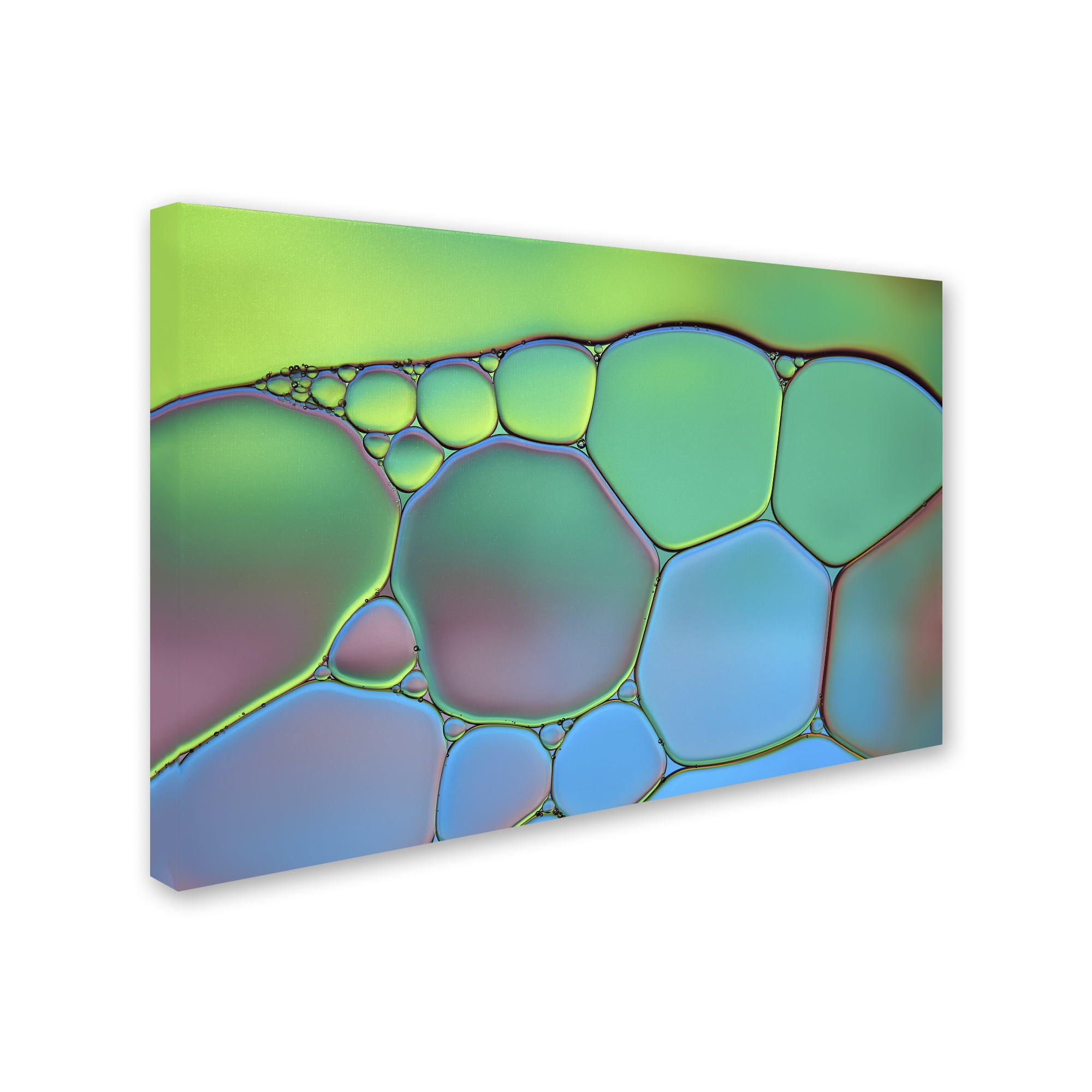 Trademark Fine Art 'Lime Green and Blue Stained Glass' Canvas Art by Cora Niele