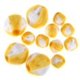 thumbnail image 1 of Enlève-poils pour Animaux pour Lessive, Attrape-Peluches Réutilisable pour Machine à Laver, Élimination des Poils de Chien et Chat – 12 Pcs, 1 of 8