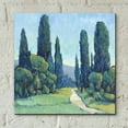 thumbnail image 5 of Epic Art 'Cypress Path II' by Tim O'Toole, Acrylic Glass Wall Art, 12"x12", 5 of 7