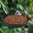 thumbnail image 6 of Pakyozj Hanging Bird Feeder, Birdfeeder Hanging for Garden Yard Outside Hanging Bird Feeder Tray - Metal Mesh Platform Feeders for Birds Outside Outdoors Hanging for Attracting Birds, 6 of 6
