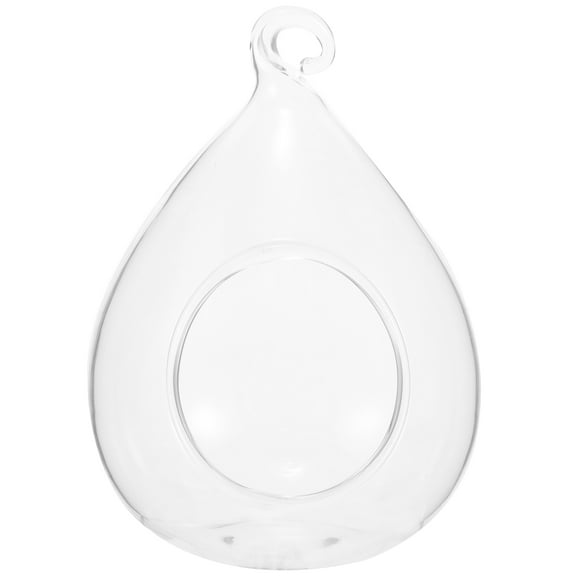 Succulent Vase Glass Hanging Terrarium Air Plant Planter Pots for Plants Globe Light House Decorations Home Household