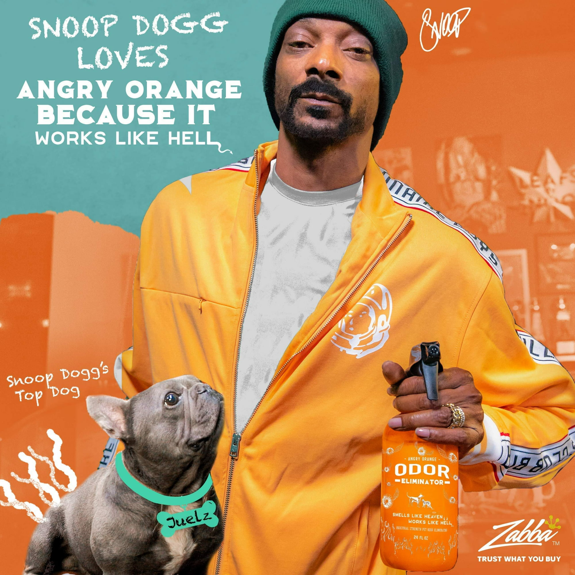 Angry Orange 24 oz Citrus Pet Odor Eliminator and Urine Remover for Dogs and Cats Walmart