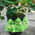 thumbnail image 4 of 100/50/20Pcs Grape Protection Bags with Drawstring Fruit Protection Mesh Bag Protective Pouches for Strawberry Organza Gift Bags Red 10x15cm (20Pcs), 4 of 6