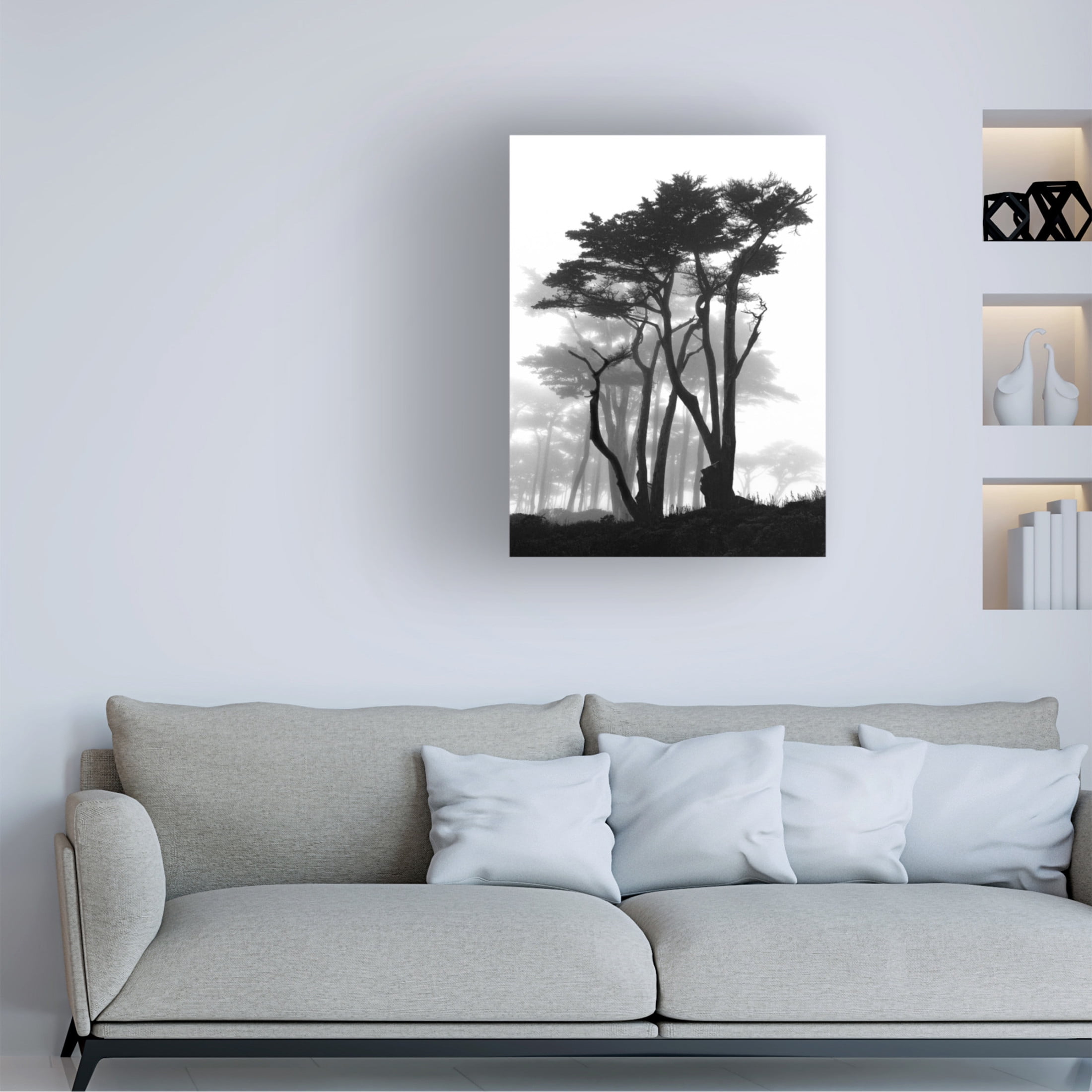 Trademark Fine Art Samuel Vovsi California Pines in Fog Canvas Wall Art