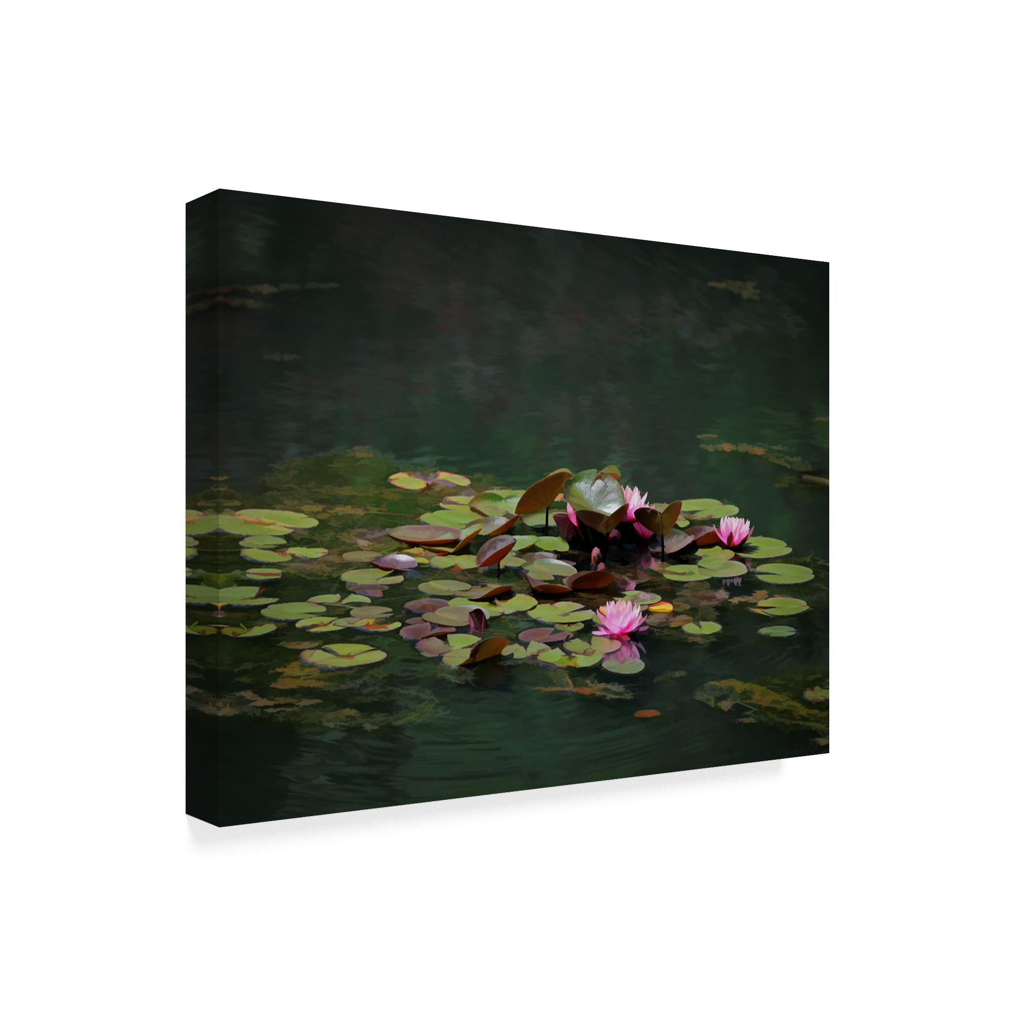 Trademark Fine Art 'Water Lillies' Canvas Art by J.D. McFarlan