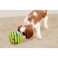 thumbnail image 2 of Juguete para Mascotas para Perros que Ayuda a Afilar los Dientes una Bola que Hace Ruido, 2 of 7