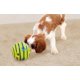 thumbnail image 2 of Juguete para Mascotas para Perros que Ayuda a Afilar los Dientes una Bola que Hace Ruido, 2 of 7