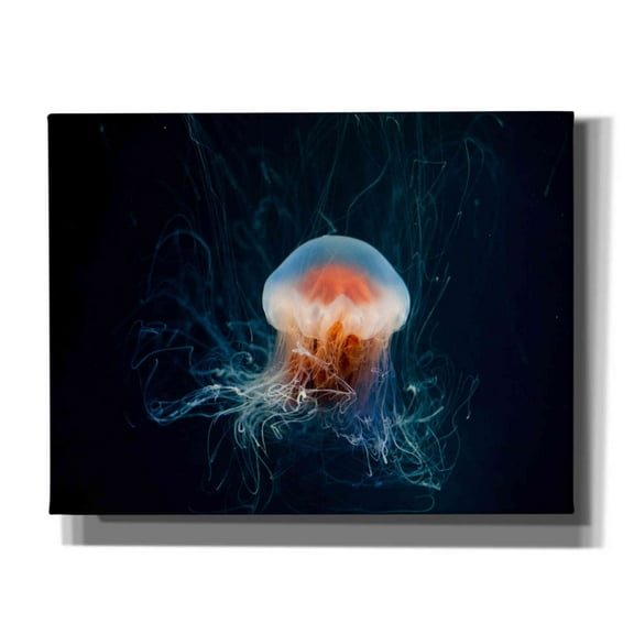 Epic Graffiti 'Peachy Jellyfish' by Epic Portfolio, Giclee Canvas Wall Art, 34"x26"