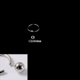 thumbnail image 1 of Anillo de nariz con clip de bola de acero inoxidable 316L BCR, anillo de nariz con clip de bola de acero de titanio, anillo multiusos universal, pendientes, anillo para el hueso de la oreja, 1 of 6