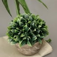 thumbnail image 4 of Pintura en aerosol Melaleuca artificial Bonsai Planta en maceta realista Blanco, 4 of 9
