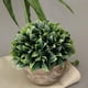 thumbnail image 4 of Planta de Simulación de Plástico Bonsai Bonsai en Maceta para Decoración de de Oficina Blanco, 4 of 9