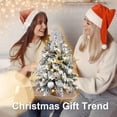 thumbnail image 4 of Mini Christmas Tree, 24 Inches Artificial Tabletop Christmas Tree LED Lights, Table Small Xmas Tree with Christmas Ball Ornaments for Table Top Christmas Tree Decorations, 4 of 7