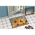 thumbnail image 2 of Carolines Treasures SS8123JMAT Chow Chow Doormat 24x36 36"L x 24"W multicolor, 2 of 4