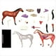 thumbnail image 2 of Modelo de Anatomía de Órganos Animales 4D, Juguete de Ensamblaje de Inteligencia de Caballo, Modelo de Anatomía para Enseñanza, Electrodomésticos de Populares DIY, 2 of 5