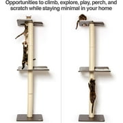 The Ultimate Cat Climber