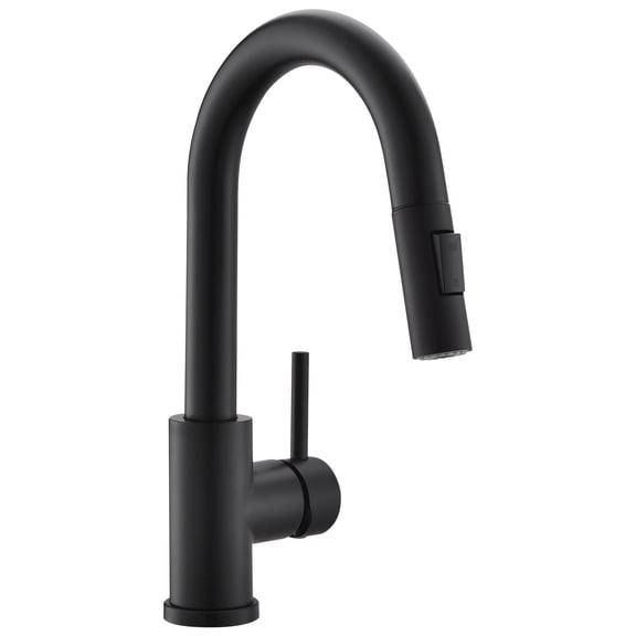 ANGELES HOME Single Handle Kitchen Faucet with Pull-Out Sprayer, Double-Function Kitchen Sink Faucet, Matte Black