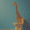 Funny Giraffe On Toilet, variant on Qisvanset Sailboat Sunset Canvas Wall Art 15.75x11.81 INCHES