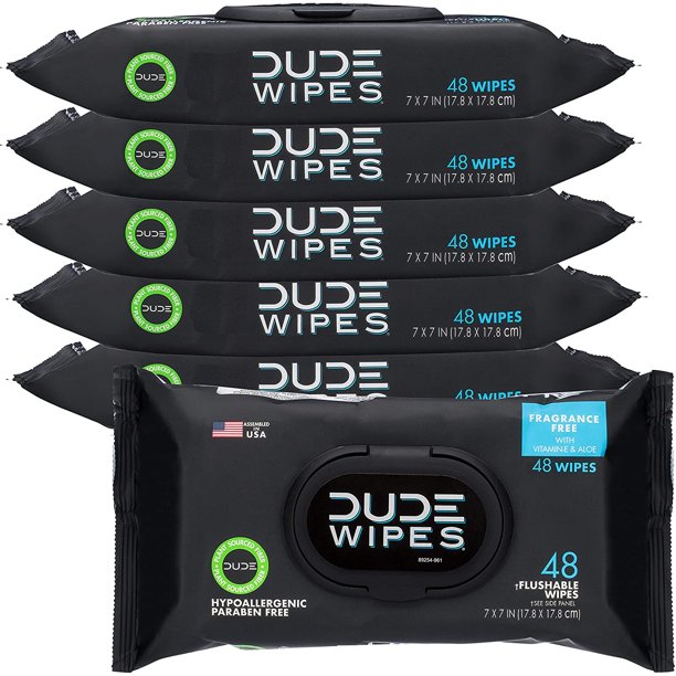 DUDE Wipes Flushable Wipes Dispenser, Unscented Wet Wipes with VitaminE & Aloe for atHome Use