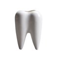 thumbnail image 4 of Macetas blancas con bonitos dientes, macetas con dientes suculentos, macetas creativas de cerámica para Cactus, Mini contenedores de plantas y flores, 2 uds., 4 of 5