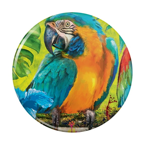 Colorful Tropical Rainforest Parrots Pinback Button Pin