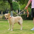 thumbnail image 6 of Waterproof Dog Collar, Easy to Clean Rubber Dog Collars with Quick Release Buckle Fits Small Medium or Large Dogs (Orange, M, 6 of 6