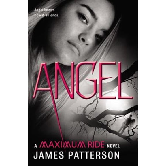 Pre-Owned Angel (Hardcover) 031603620X 9780316036207